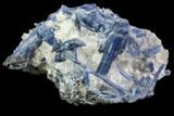 Vibrant Blue Kyanite Crystals In Quartz - Brazil #80399-1